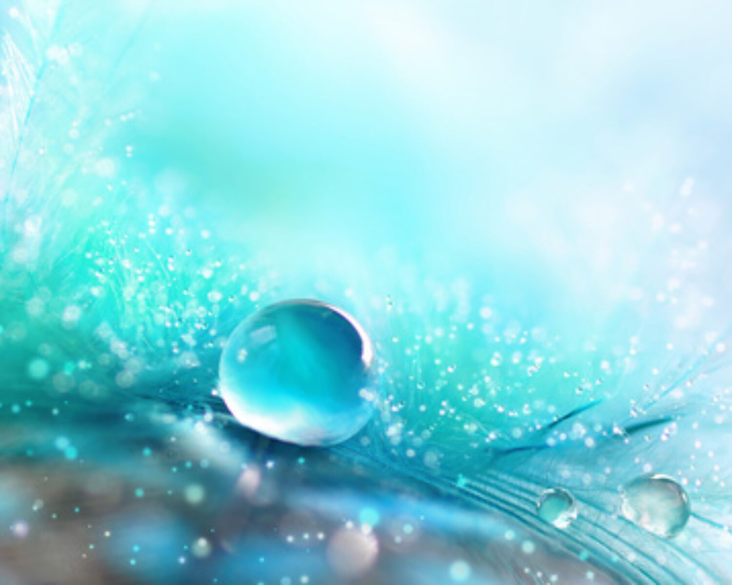 A drop of water dew on a fluffy feather close-up macro with sparkling bokeh on blue blurred background. Abstract romantic delicate magical artistic image for the holiday, cards, christmas, new year.