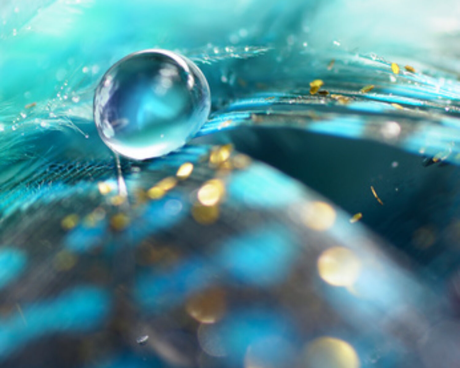 Big blue dew drop of rain water on a blue bird feather and gold tinsel close-up macro with soft blurred background and beautiful bokeh. Abstract festive bright artistic image for wallpaper or design.